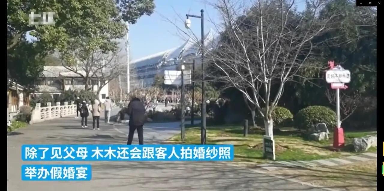 “日租女友”1000块一天，服务项目花样百出，行业内幕到底多乱？