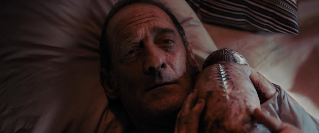 年度R级惊悚！谁还没被刷屏