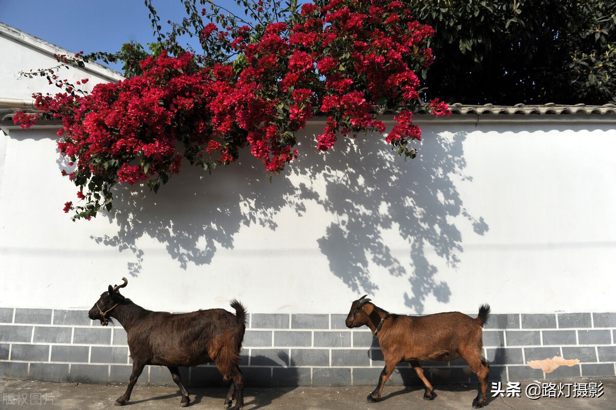 冬天应该也有最舒服的避寒胜地吧,这才是国内避寒的七座安逸城市