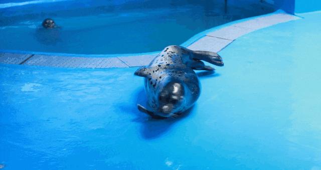 学生特惠票19.9元一票畅玩,暑期特惠88观光儿童票