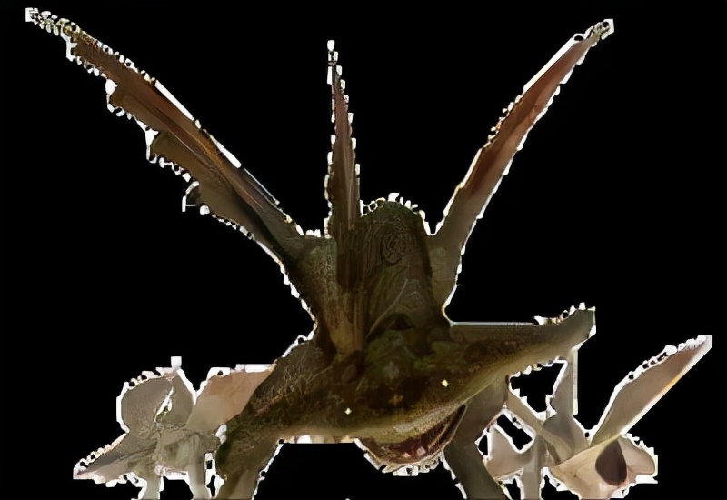 恐龙立体书科普恐龙,恐龙科普全集