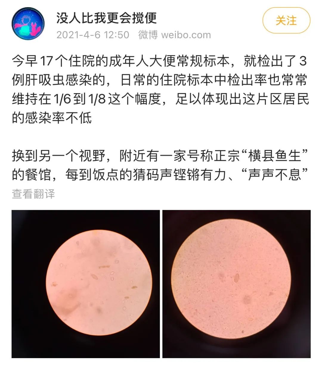 日本人评价横县鱼生,横县鱼生和韩国刺身