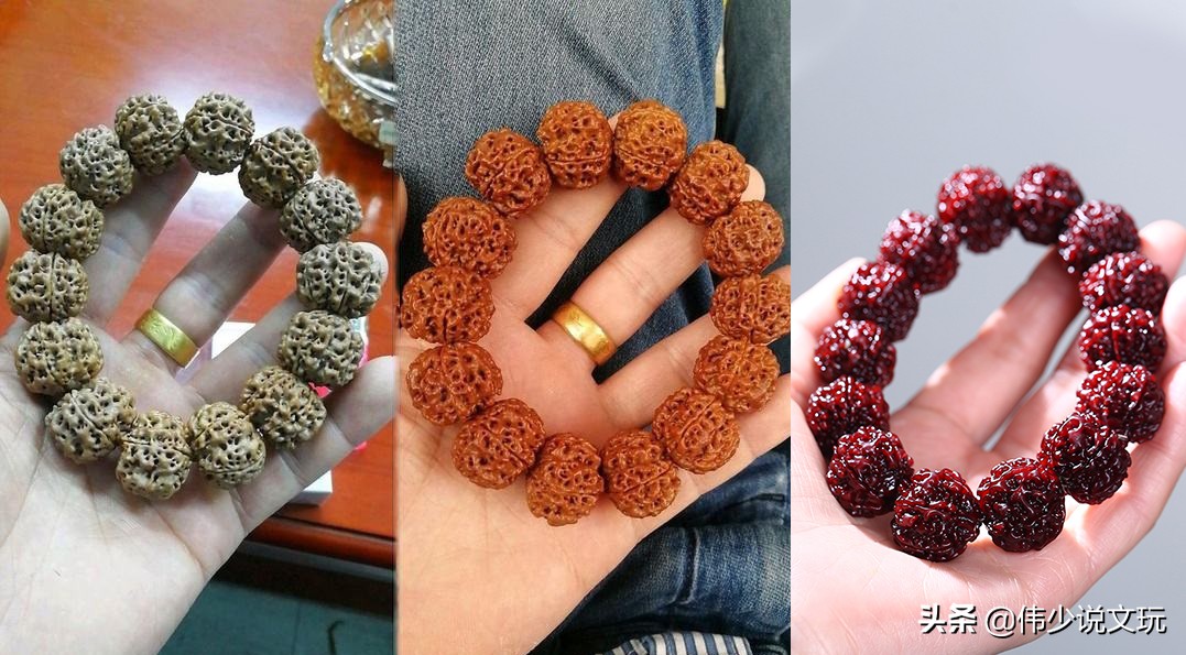 金刚菩提上色最好的方法,金刚菩提快速上色哪种上色液好