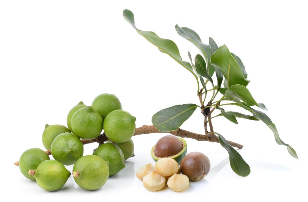 猜猜这是啥？你一定吃过！