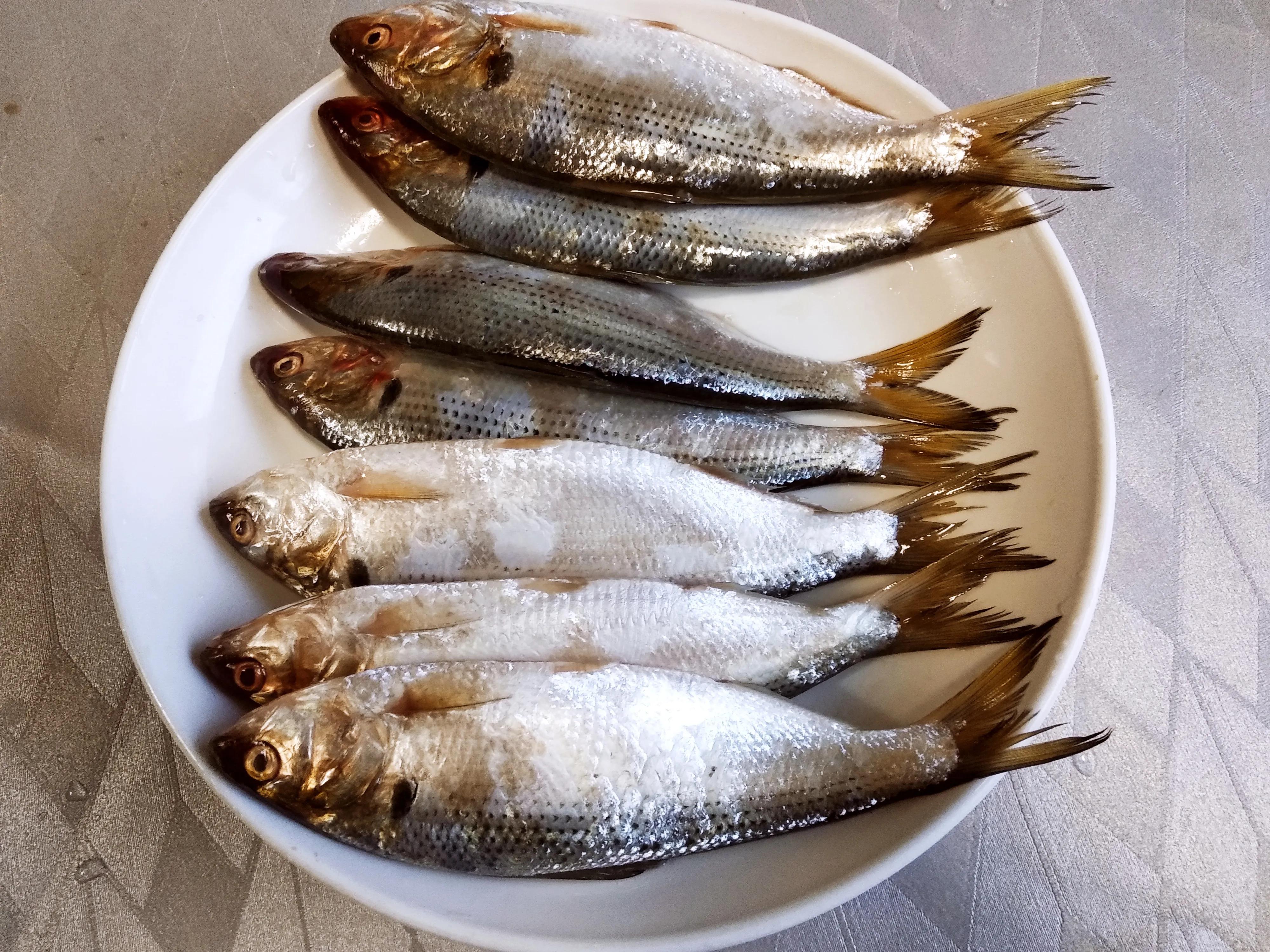 立冬后应季菜,立冬过后什么鱼最好