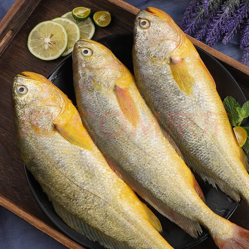 国内发现XBB，不必恐慌，建议多吃3种“高蛋白”食物，提高免疫力