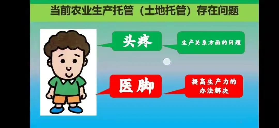 乡村振兴公益商业模式,乡村振兴的农业思路探讨