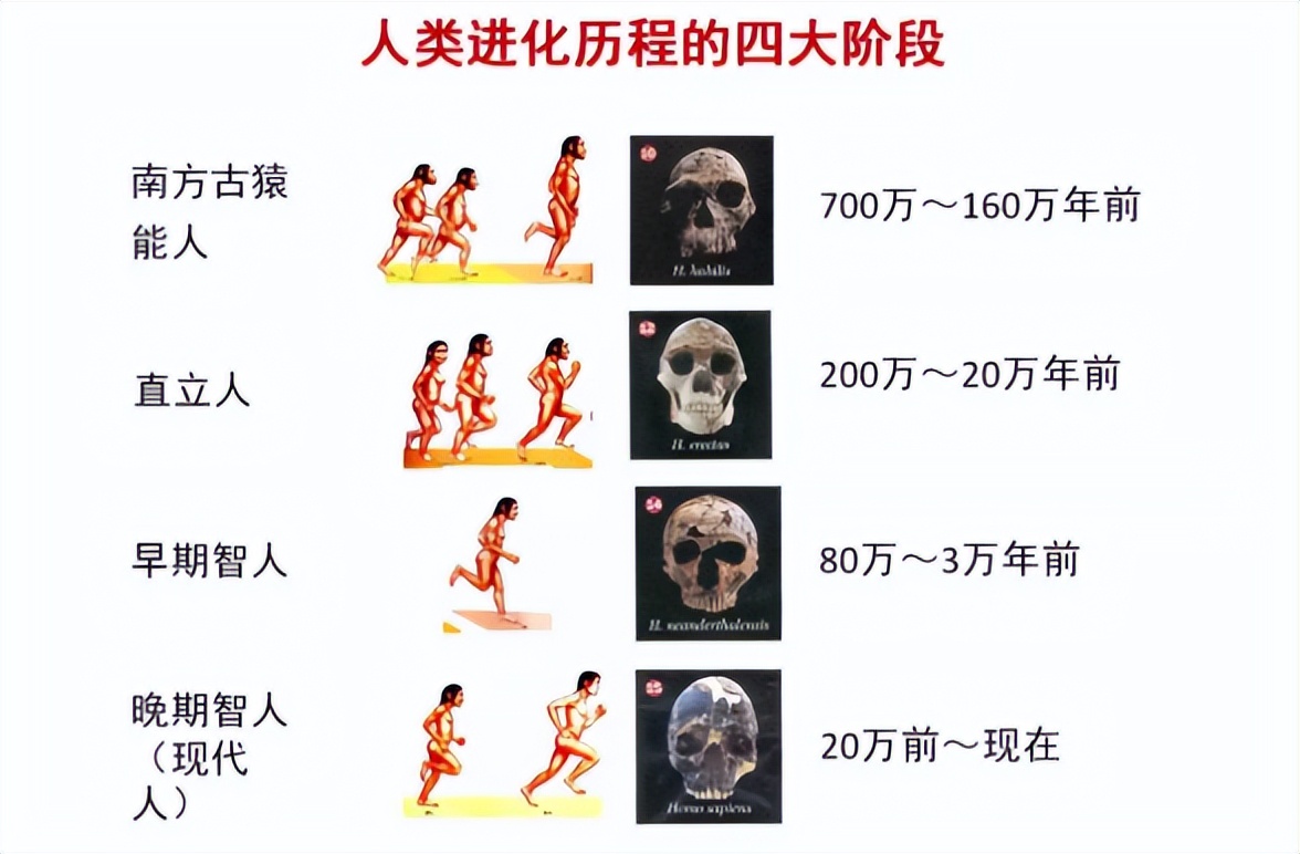 原始人是哪的,山顶洞人是猿人还是原始人