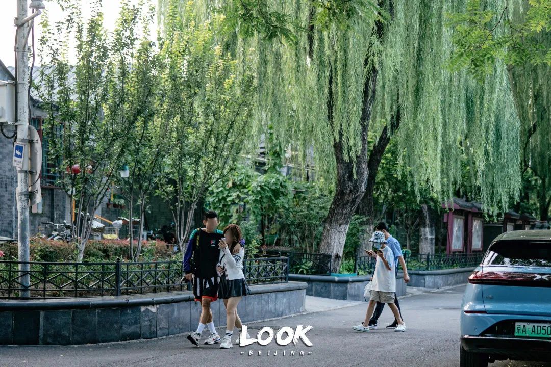 北京什刹海赏景的好地方,北京什刹海附近攻略