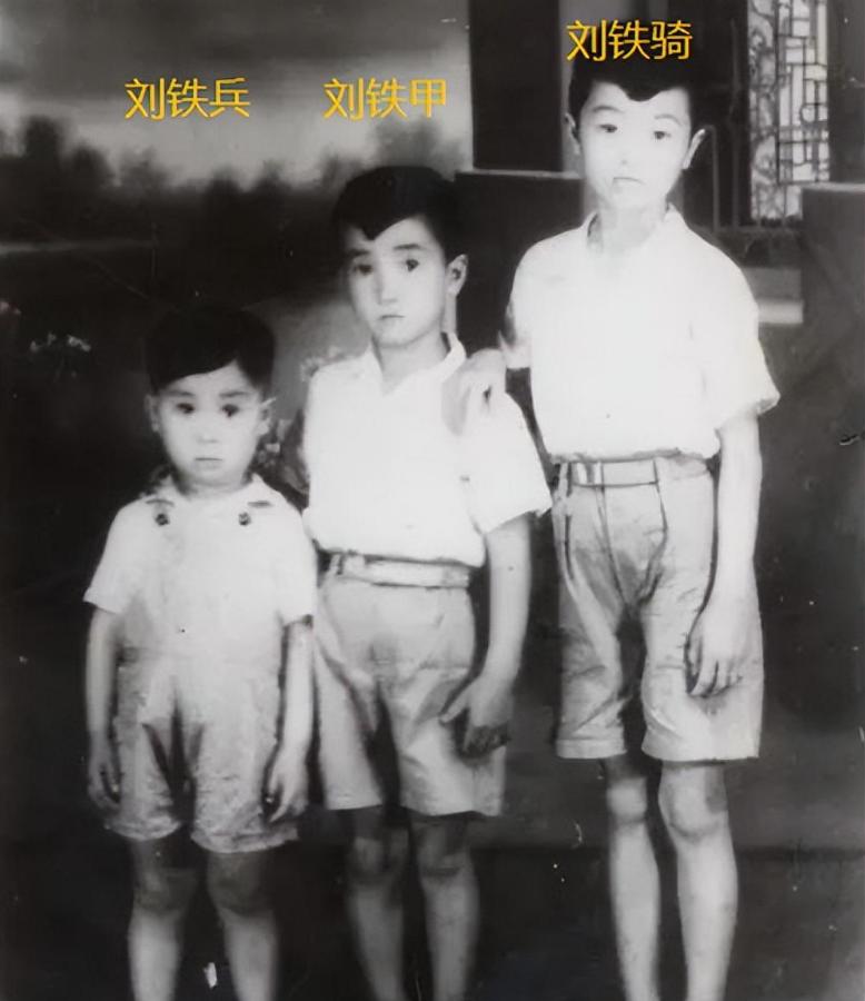 1952年，刘青山贪污上亿被判死刑，13年后，儿子考上清华不敢去