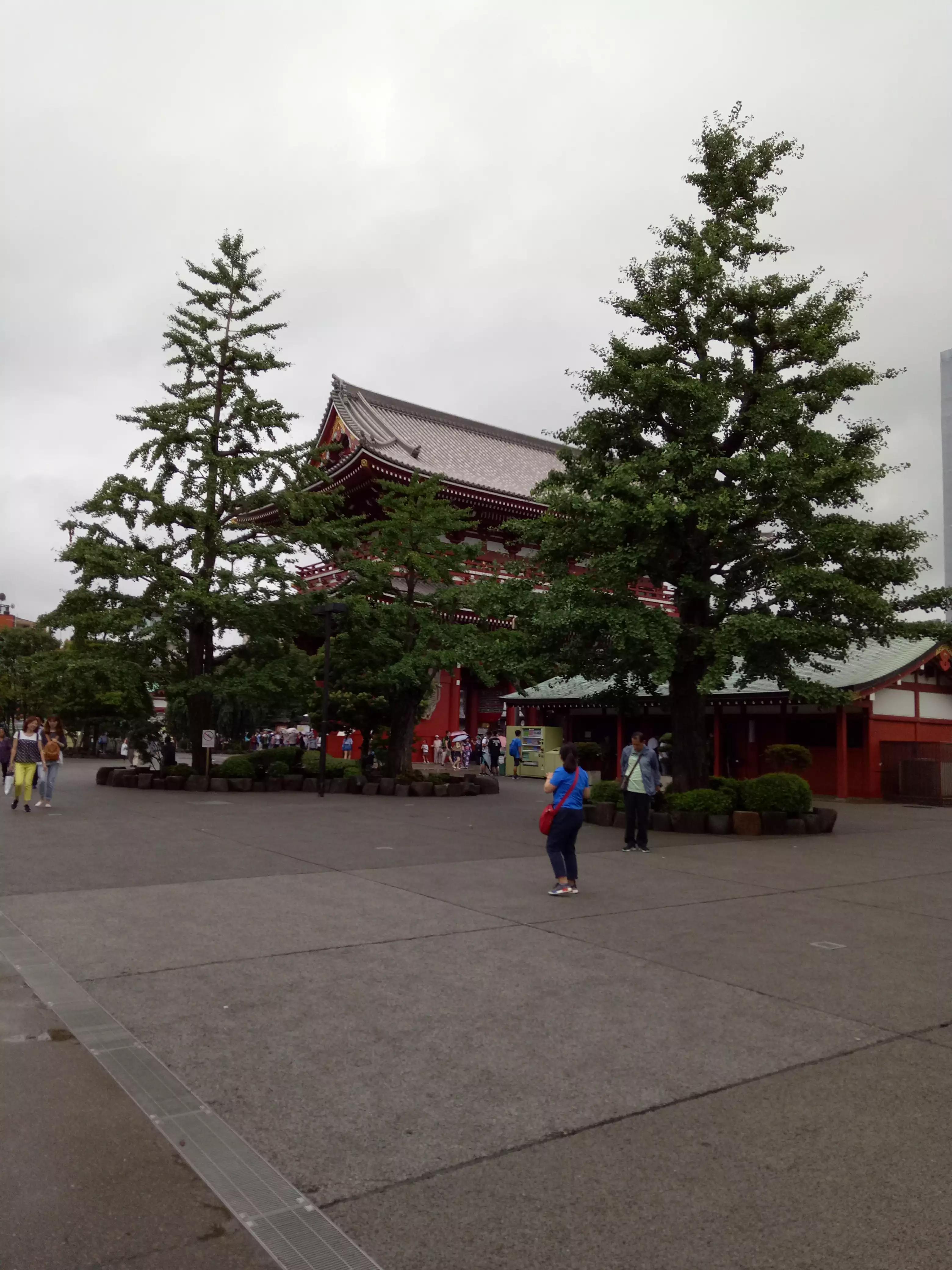 整理一些老照片,手机相册怎么分类整理