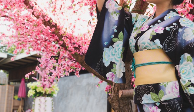 海关洋垃圾现状,洋垃圾进境规定