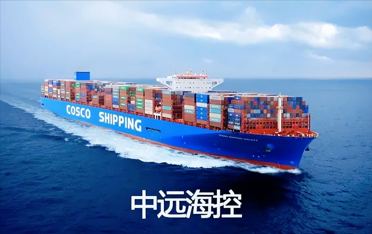 中远海控亏损,中远海控2023年会亏钱吗