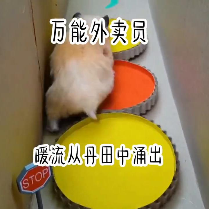 点赞评论关注精彩不断,关注点赞每日分享热门小说