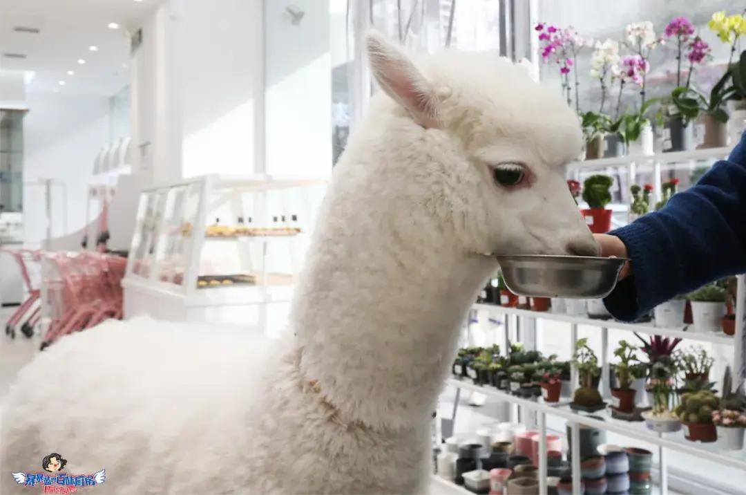 12月的第一天就等不及想炫耀这家女生天堂