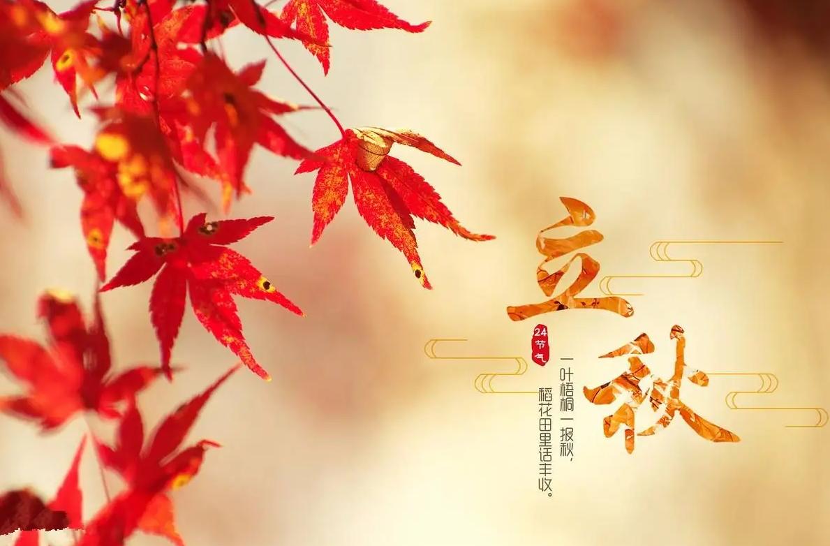 立秋前后，饮食注意“酸碱平衡”，多吃5种食物，营养充足身体好