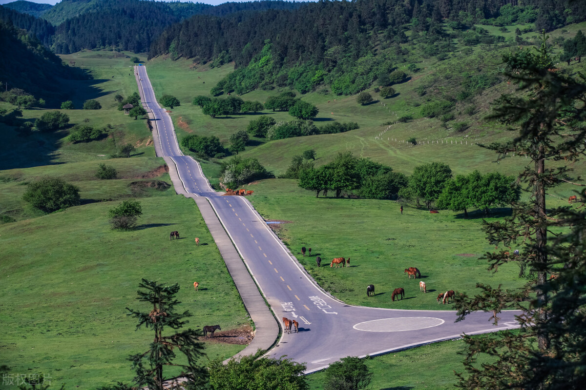 武隆仙女山两日游攻略自由行,武隆仙女山自由行攻略