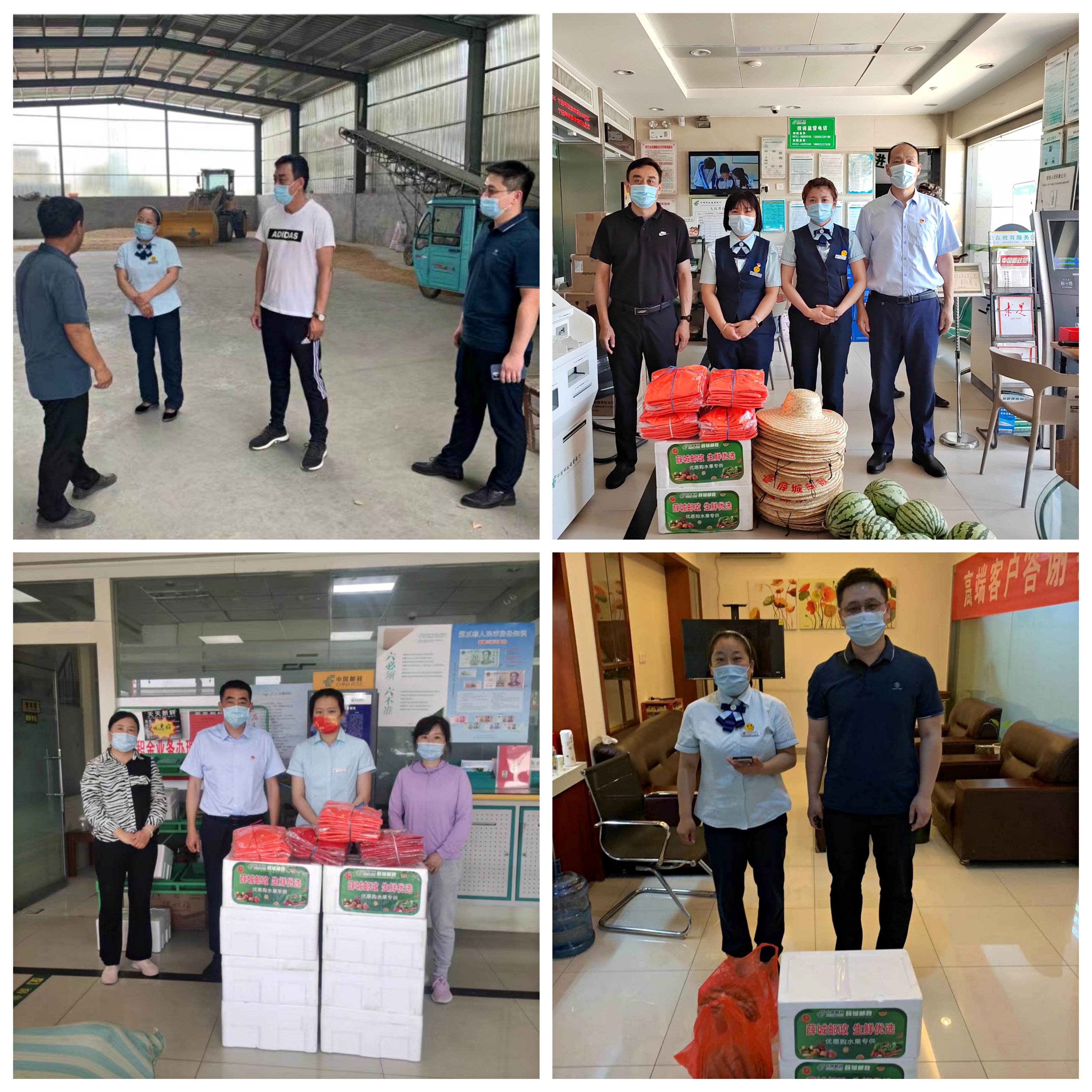 薛城邮政分公司:坚持*党**建引领,助力夏粮收购