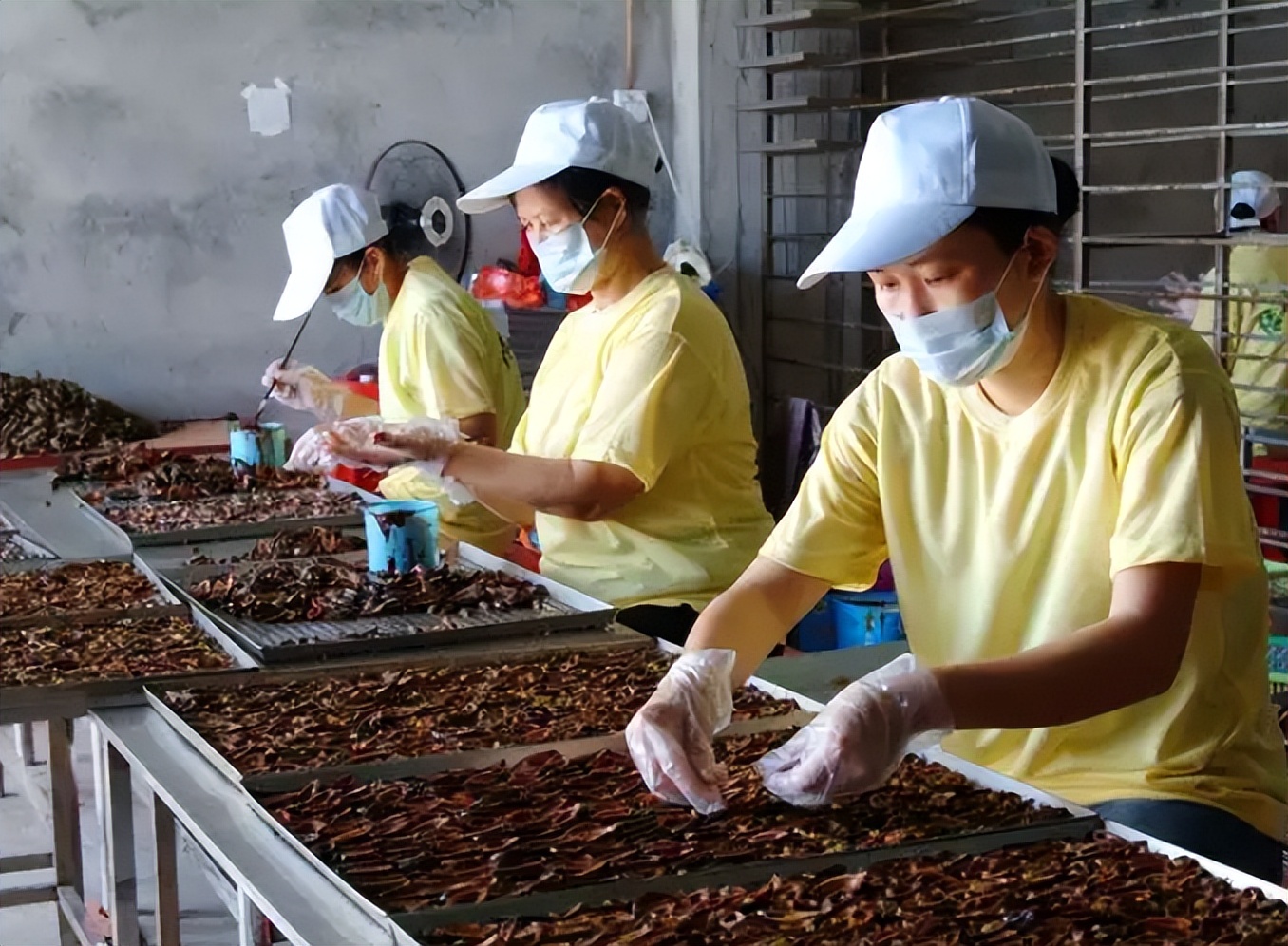 槟榔大王死亡之谜,槟榔大王死亡事件