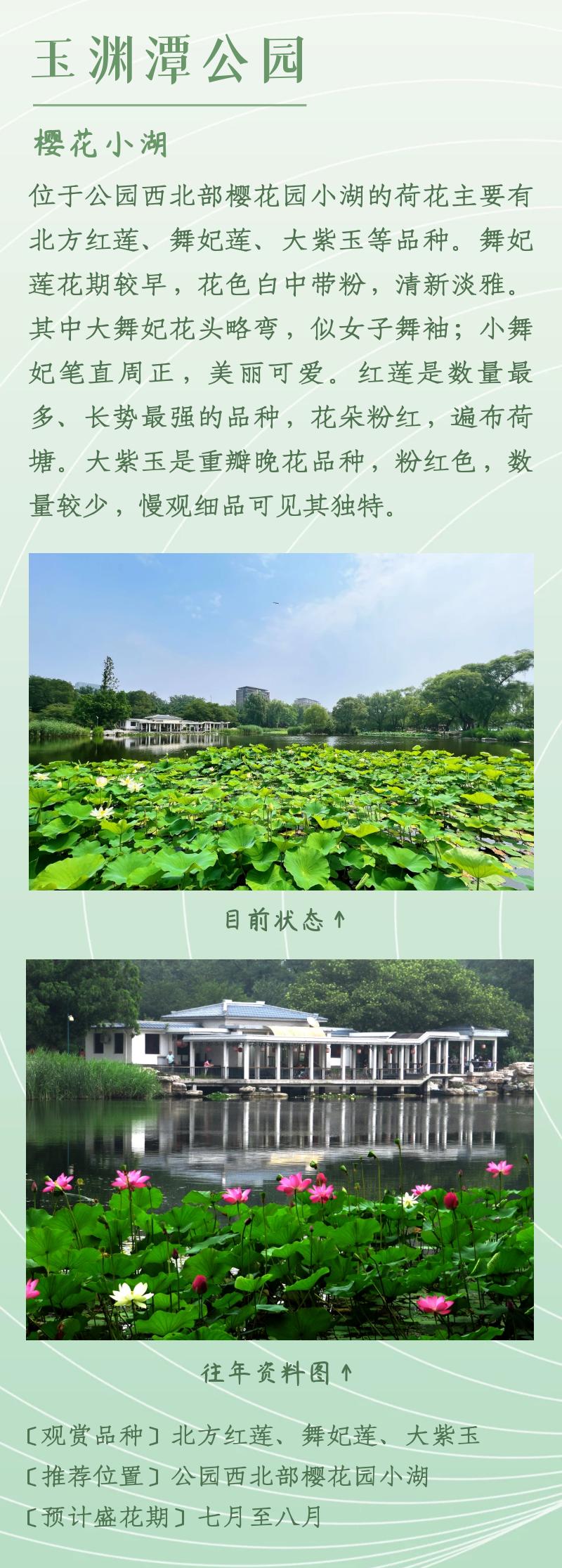 北京赏荷花最佳地点,北京赏荷花的公园