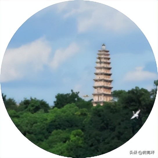 “阳”了怎么办？南充最新公告来了！请相互传阅！