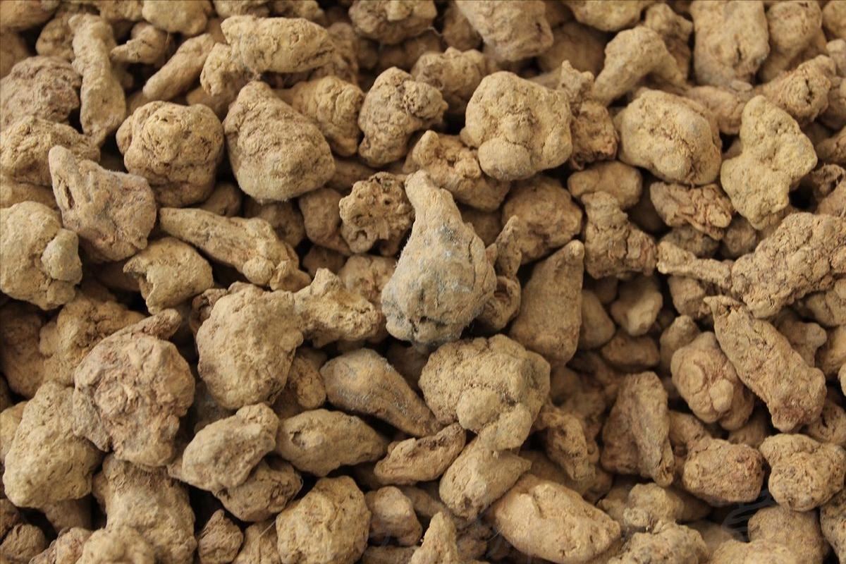 输卵管堵塞中医辨证施治,输卵管堵塞能用中医调理吗