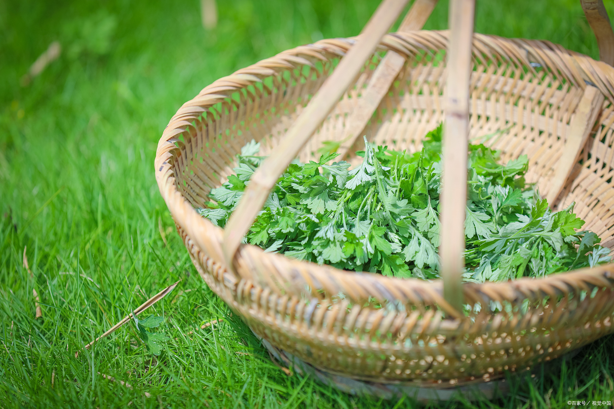 三伏天晒背脖子痛是怎么回事,天凉肩膀疼痛怎么缓解