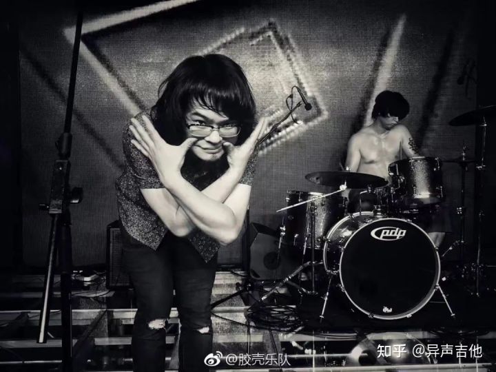 斑鸠的五种常见叫声,疫情下我学会了什么技能