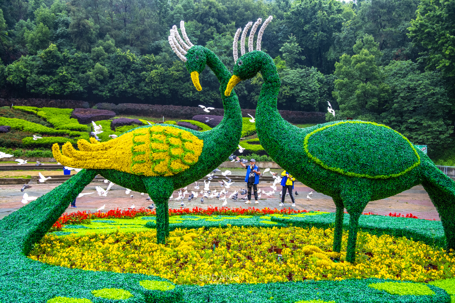 武汉哪个动物园比较适合小朋友玩,武汉值得带孩子去的动物园