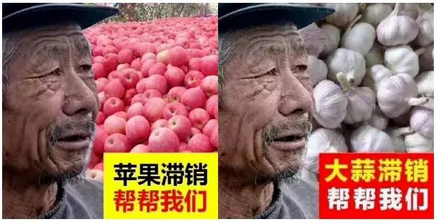 拼多多举报淘宝事件,拼多多盗用淘宝图会被投诉吗