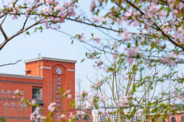 成都五朵金花是哪五个小学,2018年成都五朵金花小学