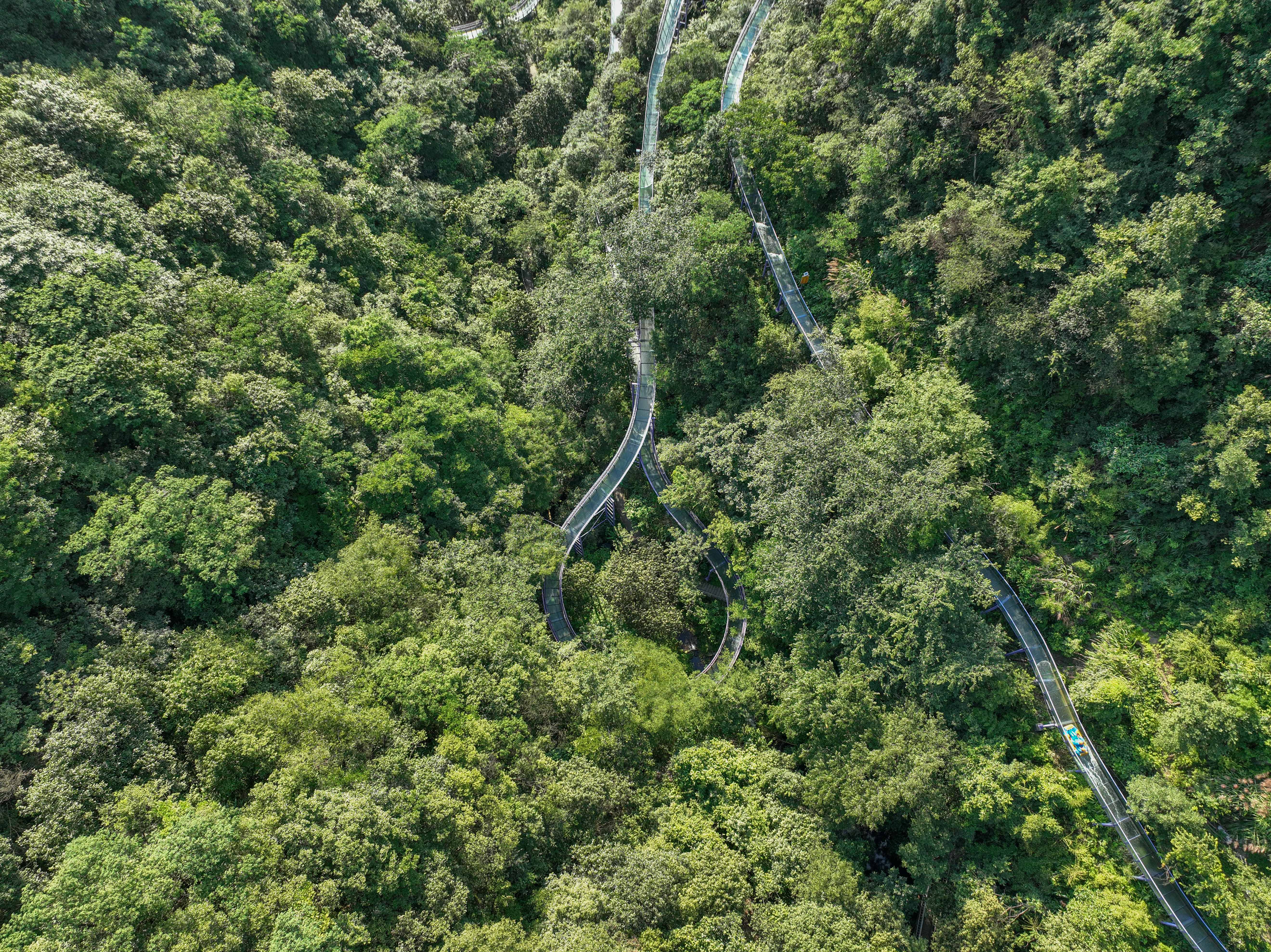全球最长的通体玻璃漂流，距离杭州2小时就有，赶紧来玩玩