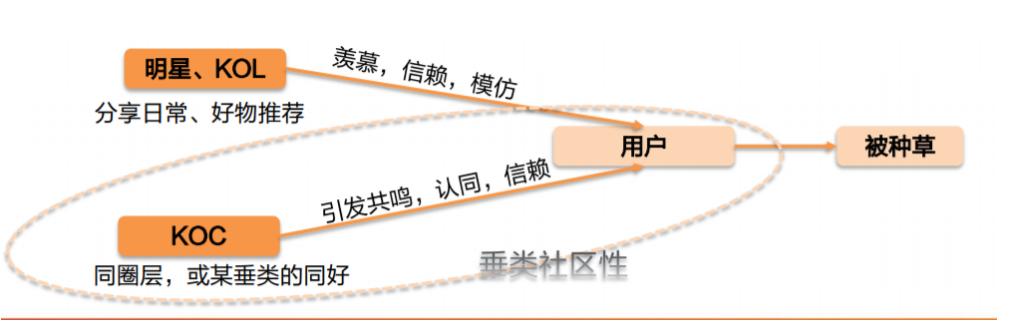 既无刘畊宏也无李佳琦，小红书的“二线”社区困局