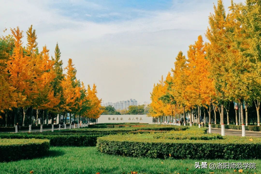 欢迎报考！选择洛师的N个理由