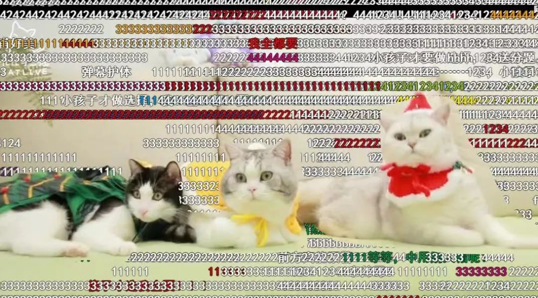 前方高能预警视频弹幕,前方高能预警弹幕护体