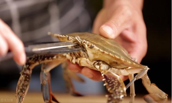 教你挑选大闸蟹六大诀窍,卖大闸蟹怎么赚钱