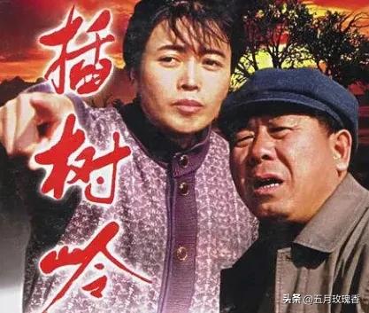 推荐经典老农村题材电视剧,备受好评的6部农村题材电视剧