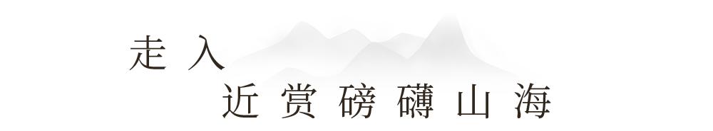 澶忔棩钘忓尶灏忚,澶忔棩钘忓尶