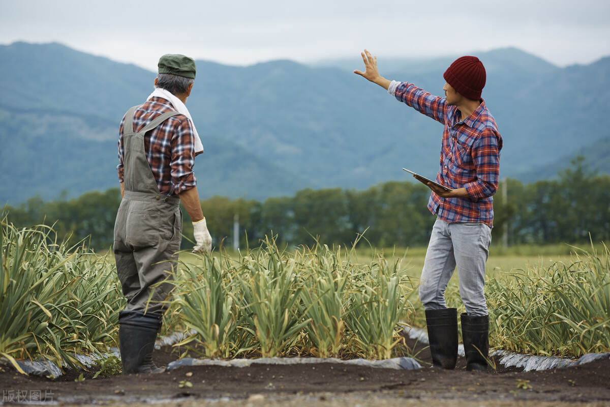 我在日本打工的那些日子,八十后的我在日本