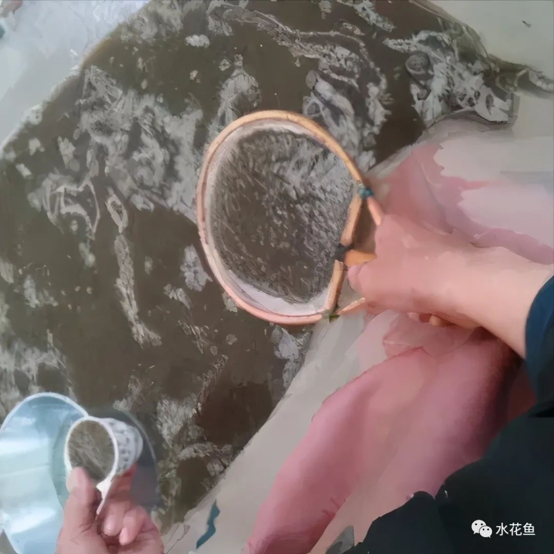 家鱼养殖如何投苗,养殖鱼技术和鱼苗