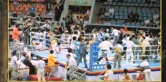 韩国国家级运动员,韩国武术队运动员