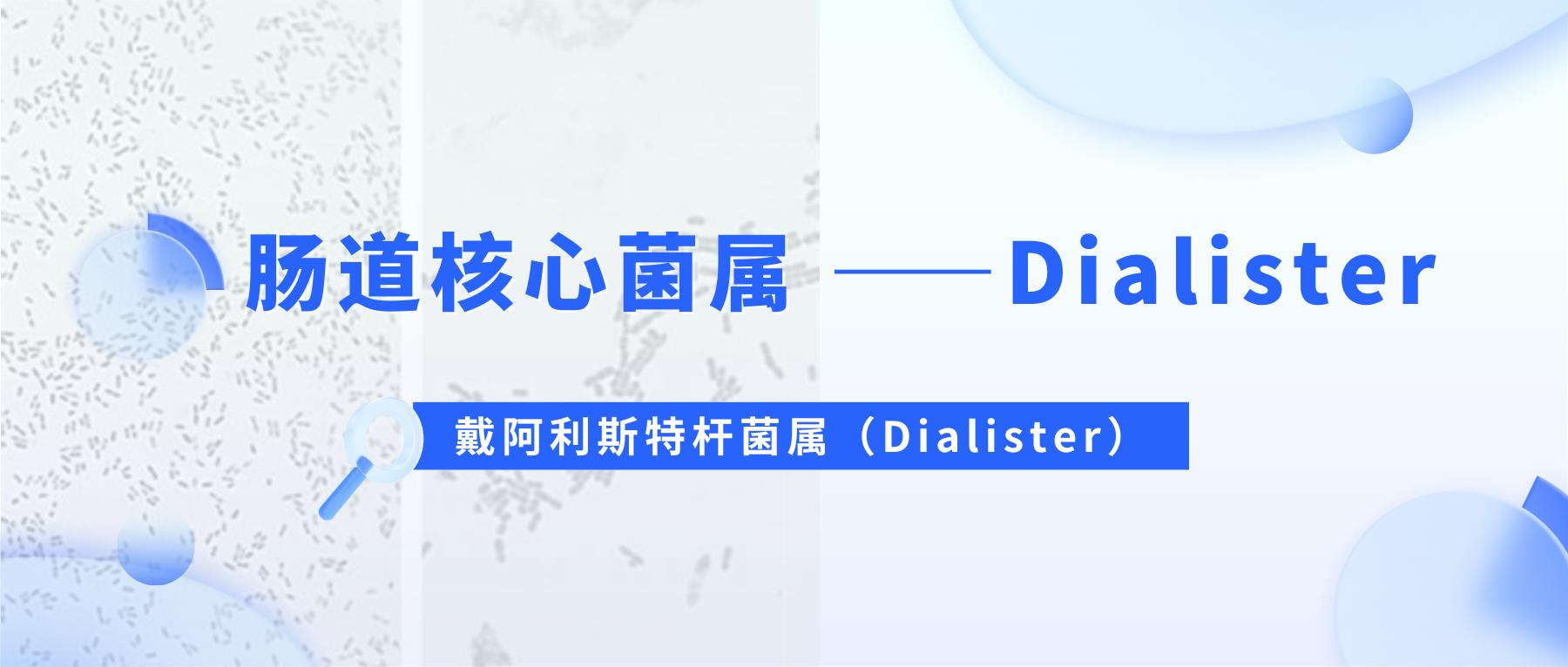 肠道核心菌——戴阿利斯特杆菌属（Dialister）