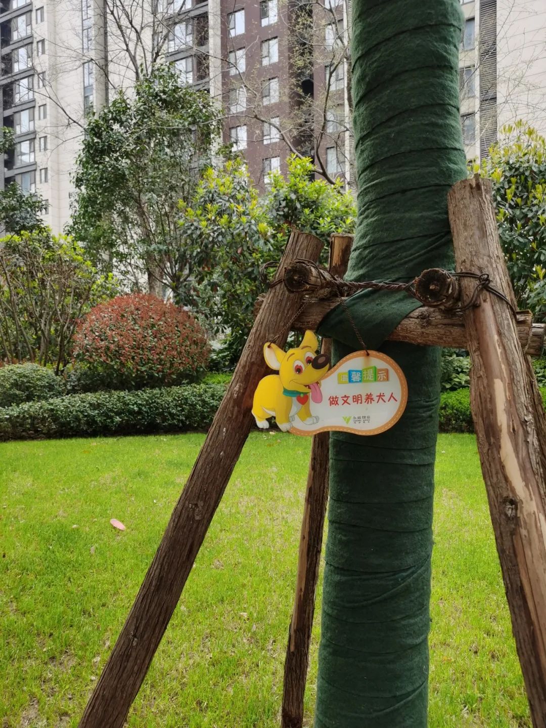 对永威置业的看法,永威业主一封信