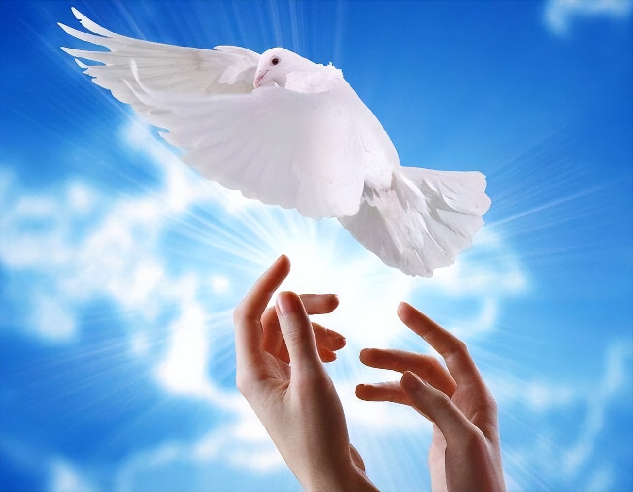 努力奋斗诚实低调,低调做人奋斗明天