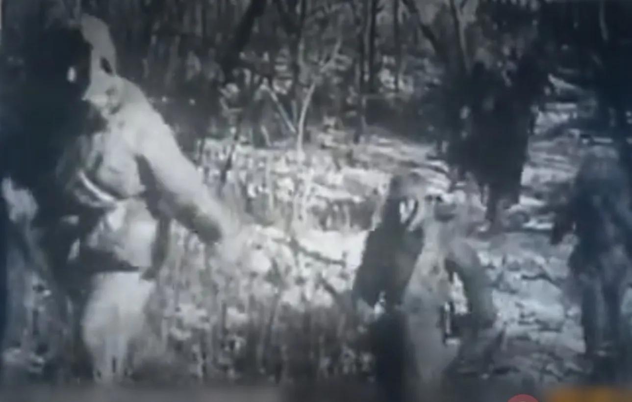 城市之光排行榜,城市之光发展方向