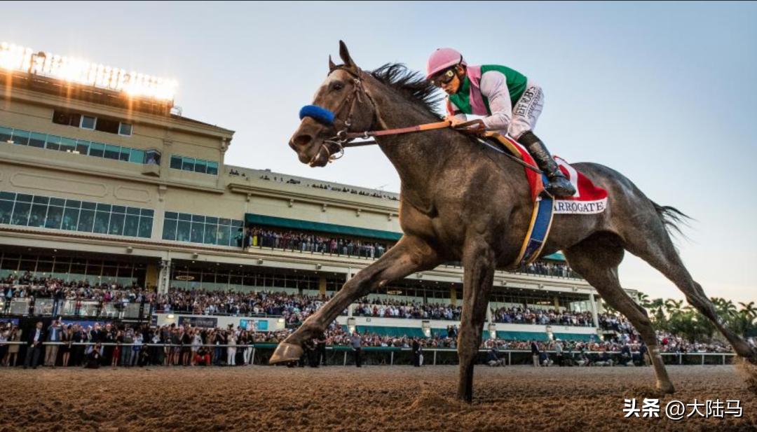 21世纪最伟大比赛,20世纪美国100匹顶级赛马排名
