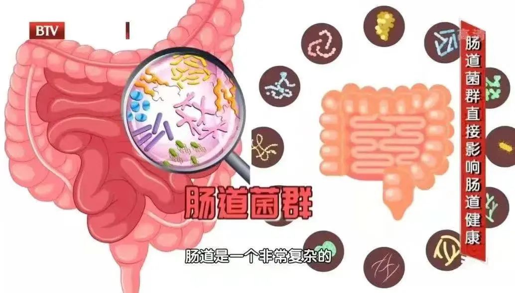 排便用力导致脑出血案例,排便太用力会有多危险需引起警惕