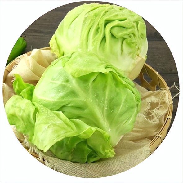 夏季什么排骨汤养胃,养胃食谱夏季家常菜谱