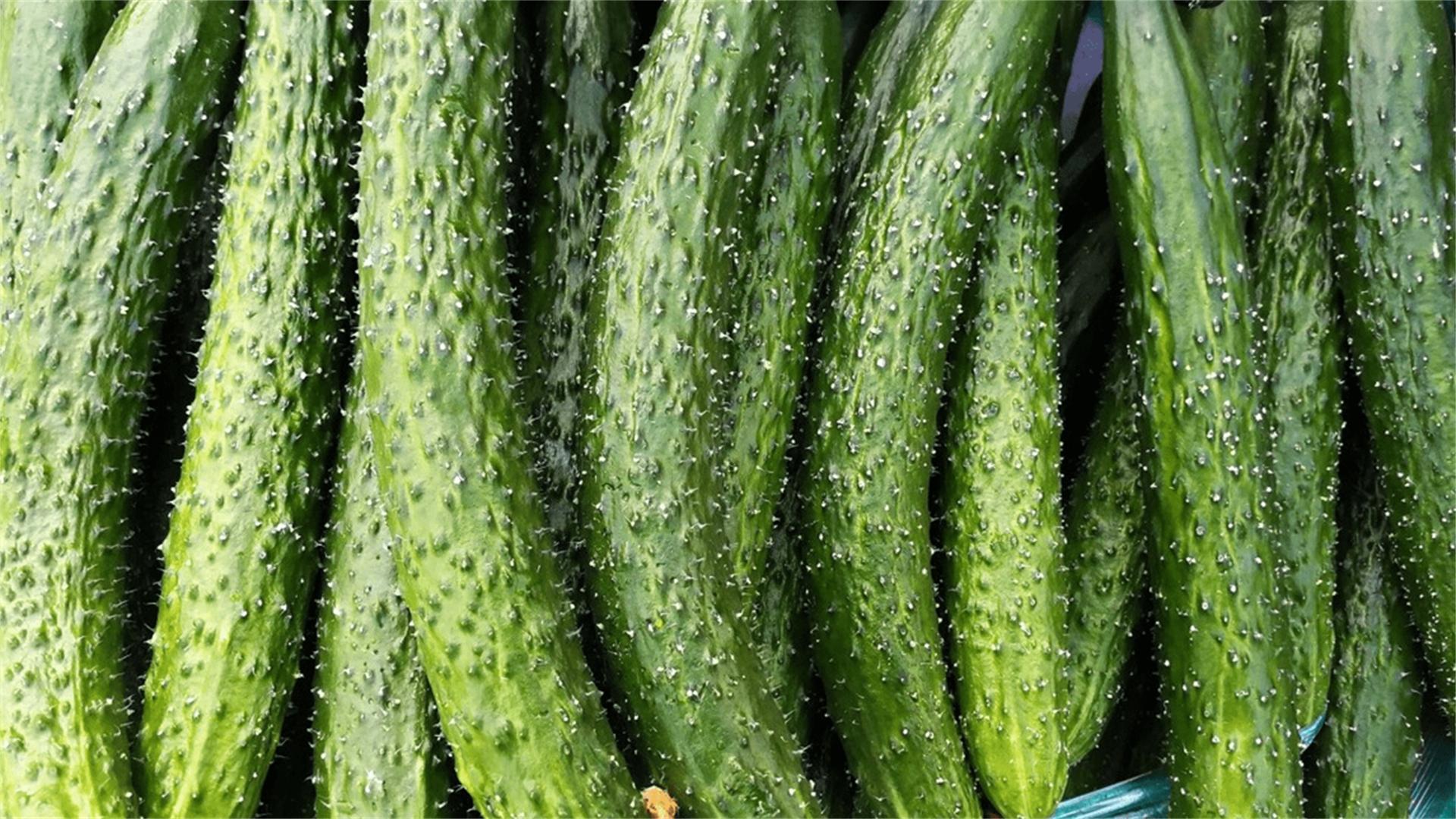 口臭肝胃有火吃什么中药调理,嘴巴又干又苦又臭喝什么茶