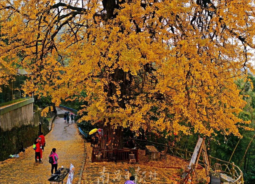 南昌的秋天文案,南昌的秋天闪闪发光
